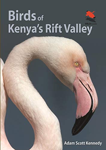 Birds of Kenya's Rift Valley (Wildlife Explorer Guides) von Princeton University Press